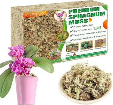 Transform Your Orchids' Lives with 1.3LB of Luxurious 25QT Fluffy Green Sphagnum Moss!