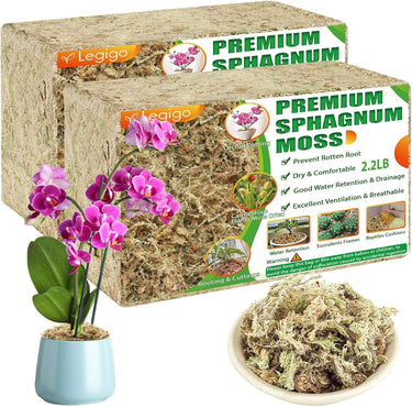 Transform Your Orchids' Lives with 1.3LB of Luxurious 25QT Fluffy Green Sphagnum Moss!
