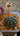 ππ΅ Astrophytum β The Star of the Succulent World π΅π - Wild Wonders Oasis