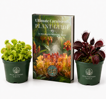 Two Venus Flytrap cultivars Maroon Monster and Chinese Dumpling with Ultimate Carnivorous Plant Guide bundle