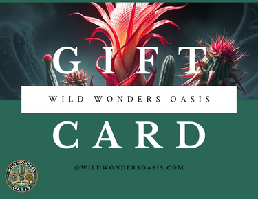 Wild Wonders Oasis Gift Card with succulent and cactus plants design for plant lovers gift