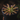 drosera capensis in a pot with a dark background. Avoid generating any merged leaves or incorrect anatomy.