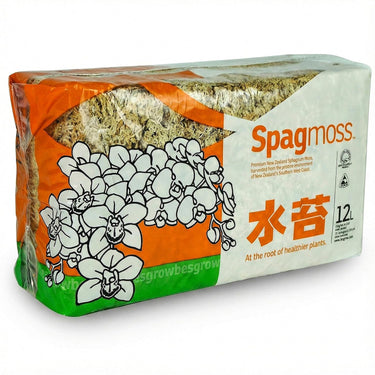 Premium New Zealand Sphagnum Moss, 150G (12L When Hydrated) Premier AAA Grade (150Mm, 6" Strands) - Harvested in New Zealand'S South Island, Dried and Long for Potted Plants, Orchids, Reptiles