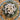Copiapoa hypogaea Barquitensis silver-gray rounded succulent cactus with dark spines and matte finish
