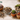 Various pots with drainage holes suitable for succulents and cacti including terracotta, plastic, and glazed ceramic options