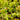 Venus flytrap plant with seasonal care tips for spring, summer, fall, and winter maintenance