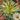 Selection of Wild Wonders Oasis products displayed together
