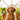 A golden retriever puppy sits centered among numerous potted houseplants in a bright indoor setting with a large arched window behind it.