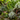 Affordable plant gifts under fifty dollars including carnivorous plants and bundles