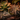 A close-up photograph of a curled green fern frond or plant stem in sharp focus, surrounded by blurred succulents and air plants in warm brown and dark soil.