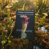 Digital download cover of The Ultimate Sarracenia Plant Guide for growing North American carnivorous pitcher plants.