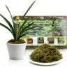 Transform Your Greenery and Reptilian Retreats with Our Luxurious Sphagnum Sponges – The Ultimate Moisture Magic for Plants and Pets!