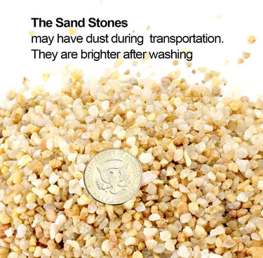 Transform Your Plants with TOYPOPOR's Silly Sand: The Fun and Functional Decorative Sand!