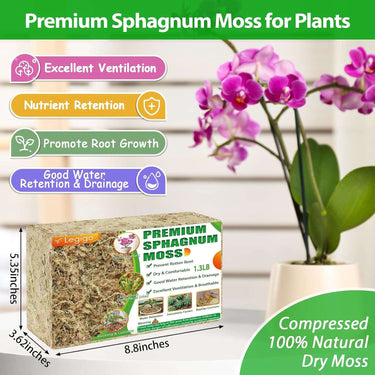 Transform Your Orchids' Lives with 1.3LB of Luxurious 25QT Fluffy Green Sphagnum Moss!