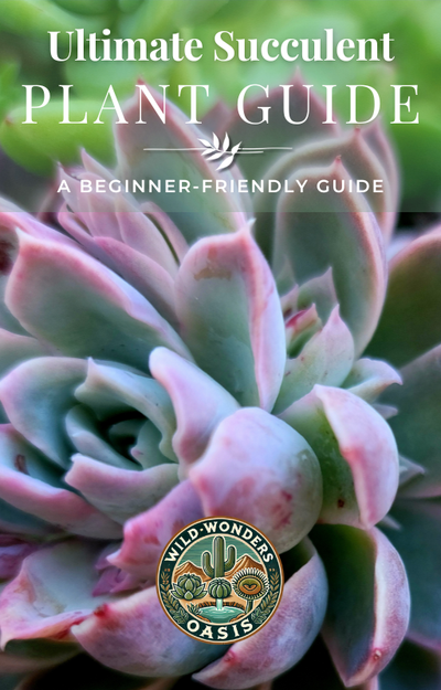 The Ultimate Succulent Plant Guide digital download cover with carnivorous plant guide focus keyword
