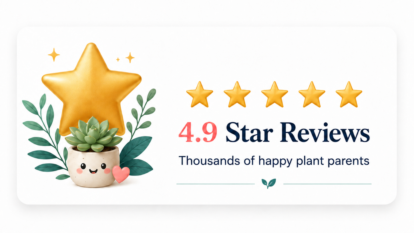 Five-star rating with a plant and star on a white background