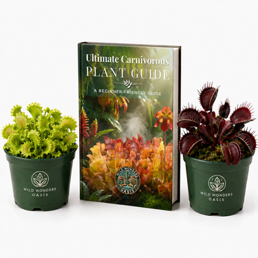 Two Venus Flytrap cultivars Maroon Monster and Chinese Dumpling with Ultimate Carnivorous Plant Guide bundle