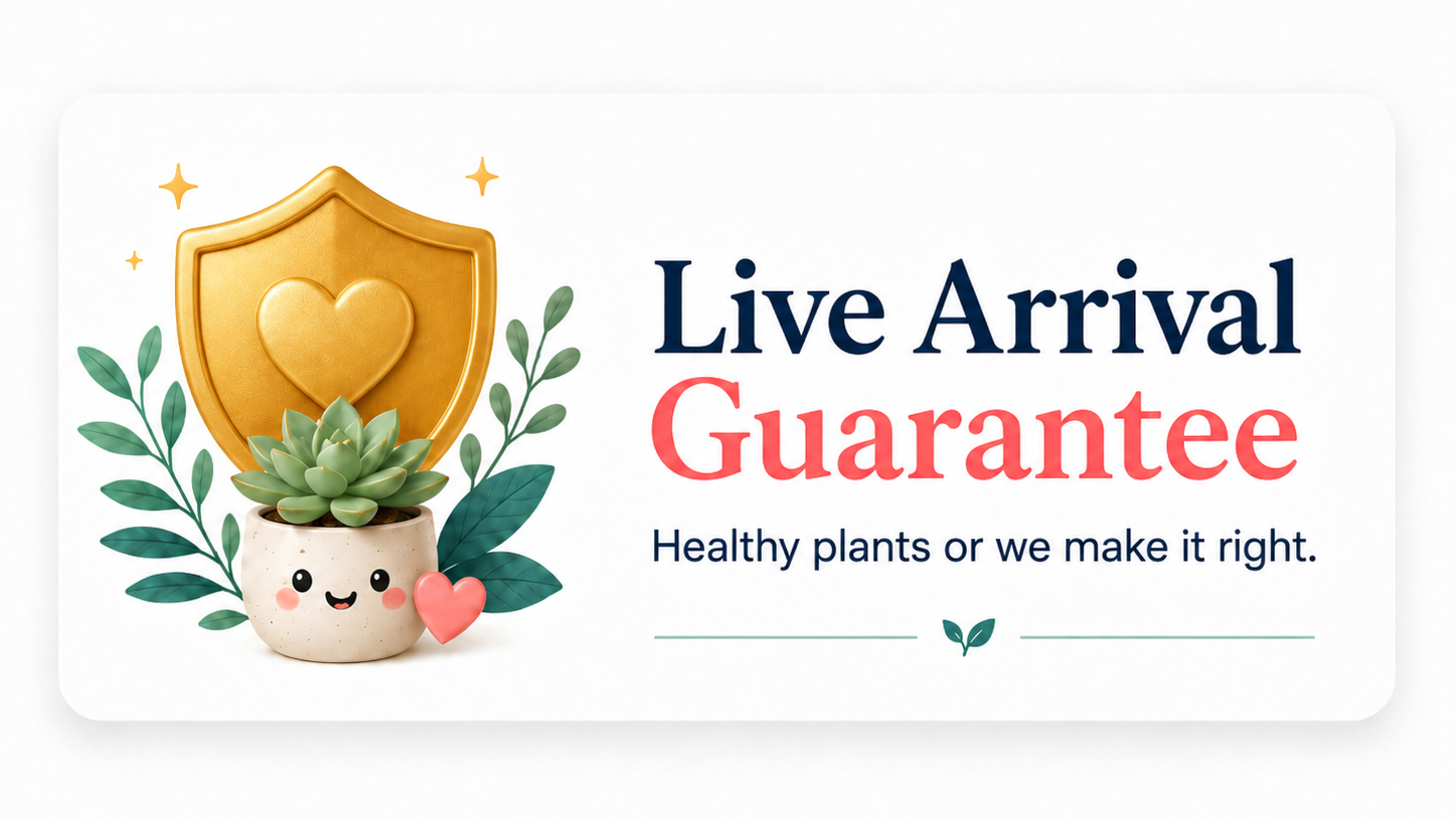 Live arrival guarantee card with a cute plant and shield on a white background