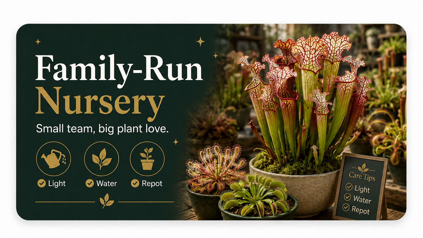 Promotional card for a family-run nursery with potted plants and care tips.