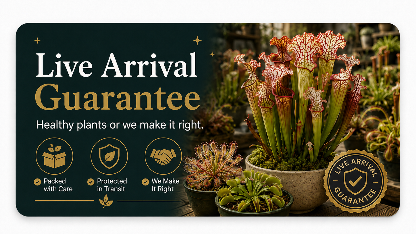 Promotional card for live arrival guarantee with plants and text on a dark green background