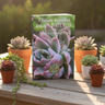 Digital download cover for the ultimate succulent plant guide with beginner tips and bonus content