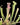 Carnivorous plant with long green leaves and pinkish traps on a dark background