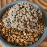 Astrophytum asterias ‘Hanazono’ spineless star cactus with white speckled patterning and star-shaped body